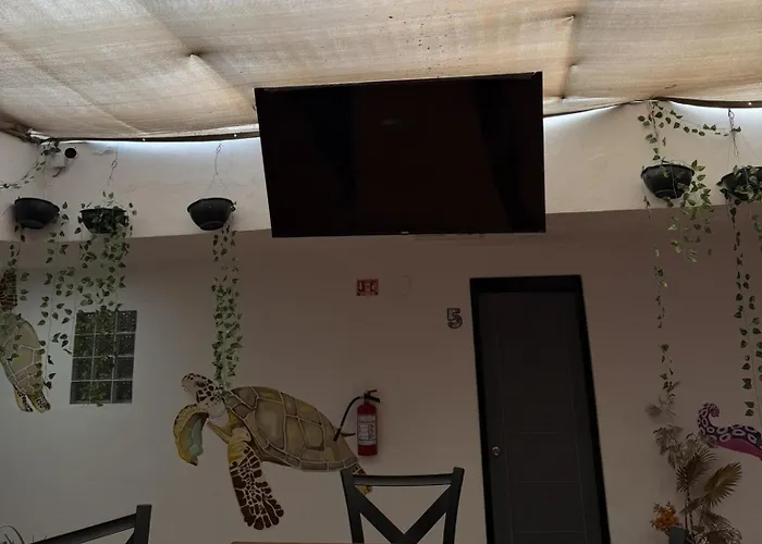 Sol De Mexico